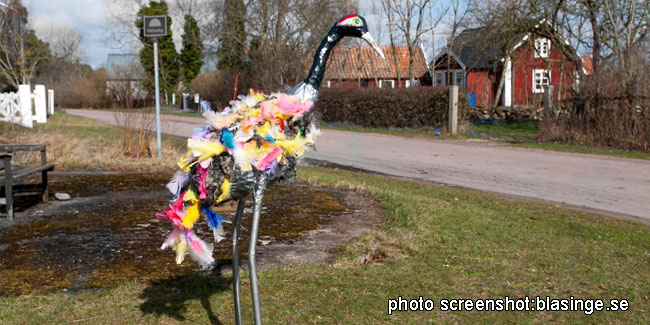 25 March - Crane Day in Sweden