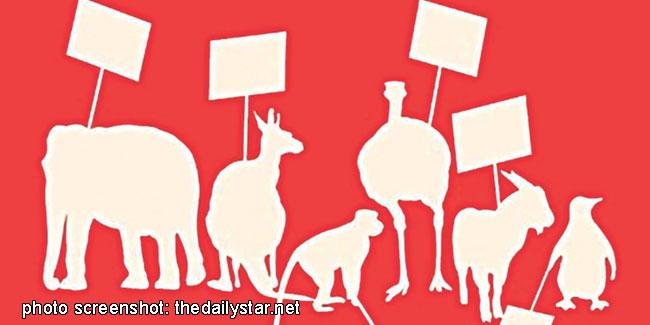 10 December - International Animal Rights Day 10 December - International Animal Rights Day