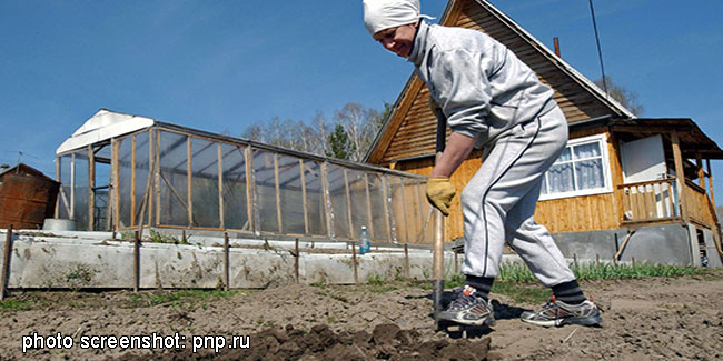23 July - Summer Resident Day in Russia 23 July - Summer Resident Day in Russia