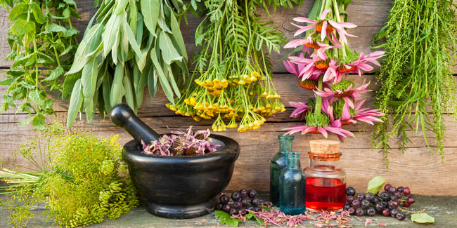 17 April - Herbalist Day 17 April - Herbalist Day