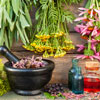 Herbalist Day Herbalist Day