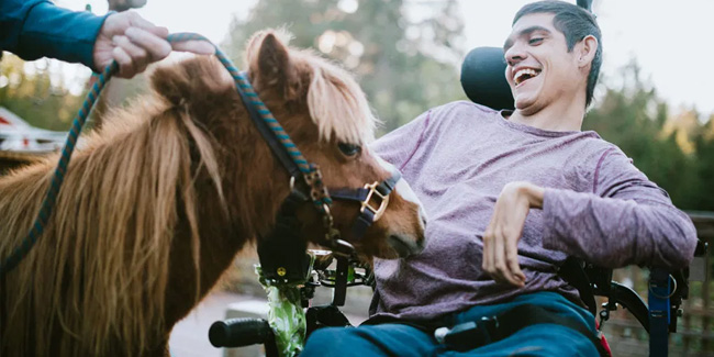 30 April - National Therapy Animal Day in USA 30 April - National Therapy Animal Day in USA