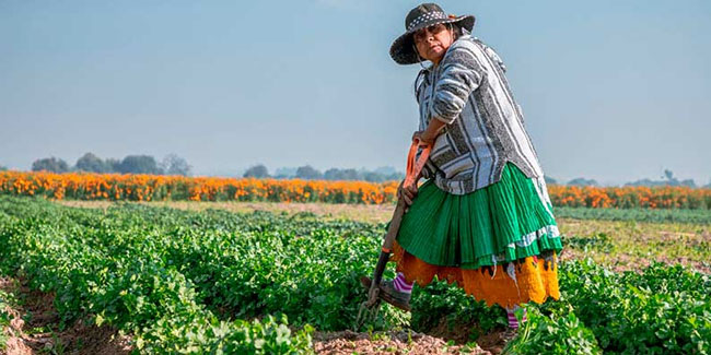 7 March - World Field Day 7 March - World Field Day