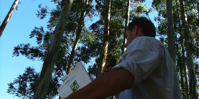 16 August - Forest Engineer's Day in Argentina 16 August - Forest Engineer's Day in Argentina