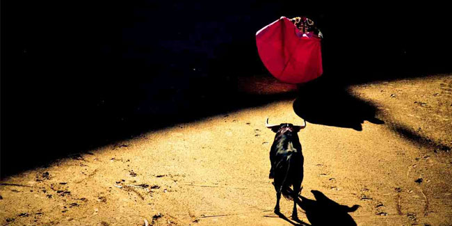 25 June - World Anti-Bullfighting Day 25 June - World Anti-Bullfighting Day
