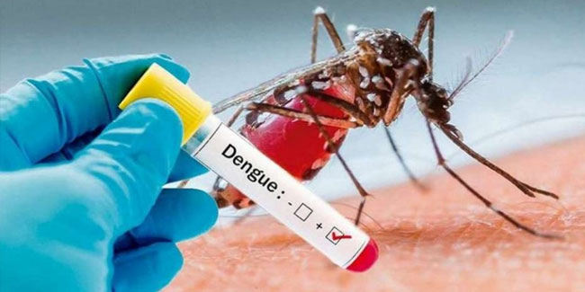 26 August - International Day against Dengue 26 August - International Day against Dengue