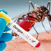 International Day against Dengue