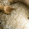 International Rice Day
