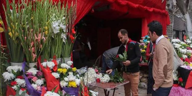 4 November - Valentine's Day in Egypt 4 November - Valentine's Day in Egypt