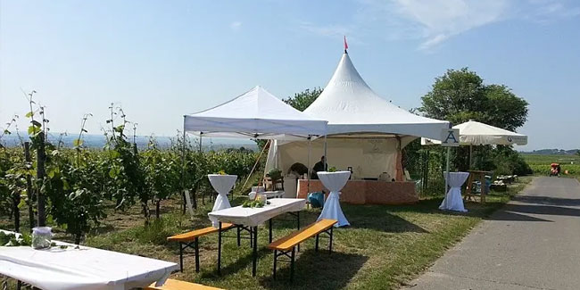 19 May - Wine Tour Mainz-Ebersheim