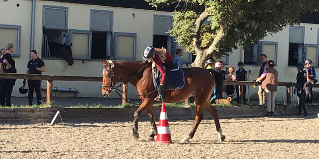 12 September - Leonberg Equestrian Games 12 September - Leonberg Equestrian Games