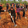 Arbor Day in China