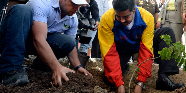 29 May - Venezuela Arbor Day 29 May - Venezuela Arbor Day