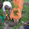 National Tree Planting Day in Tanzania