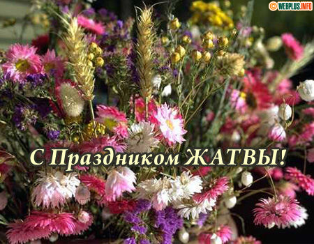 Поздравляю с праздником щедрости Земли