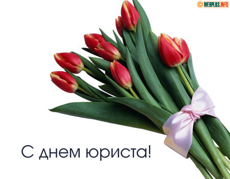 Искренне поздравляю юристов