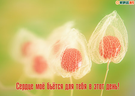 Сердце моё бьётся для тебя и душа поёт