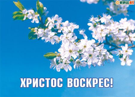 Христос воскрес! Ликуем мы сегодня