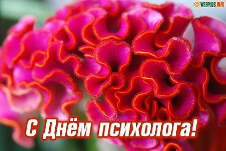 Поздравляем психологов