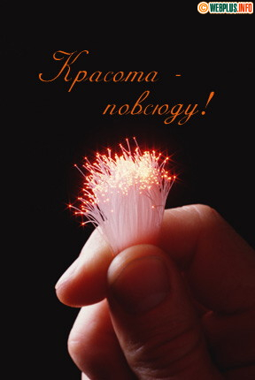 Красота повсюду! Присмотрись