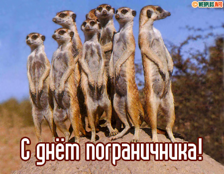 Поздравление шустрому охраннику границ от друга