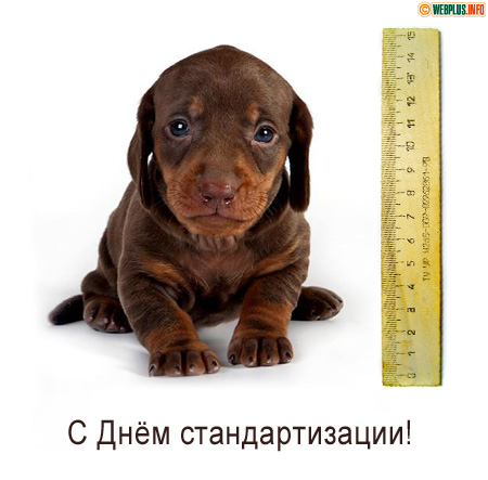 Стандарт очень важен сейчас