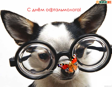 В профессиональный праздник