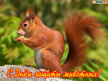 Защитнику животных посвящается эта дата