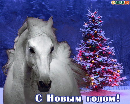 Желаю везучего Нового года
