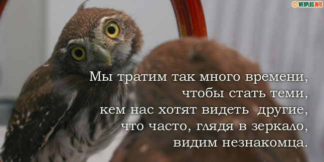 Кто ты - незнакомец? Ты видишь меня?