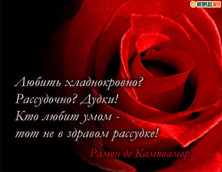 Любить в здравом рассудке