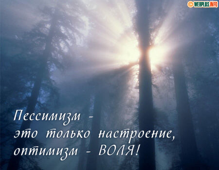 Пессимизм и оптимизм - настроение и воля