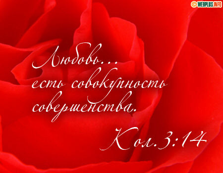 Любовь есть совокупность совершенства
