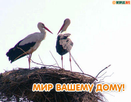 Мир вашему дому и изобилие