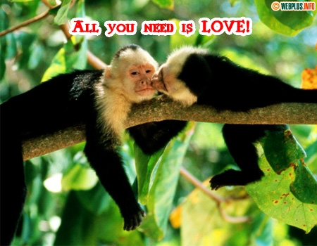 All you need is LOVE!