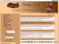 :    Sandy Lion