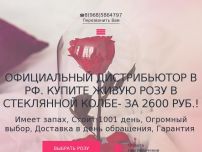Сайт: Роза в стеклянной колбе за 2600руб Сайт: Роза в стеклянной колбе за 2600руб