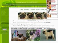 Сайт: Предлагаются щенки мопса от великолепных кобелей для вязки.