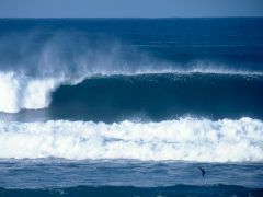 . 
   . 
  1024 X 768