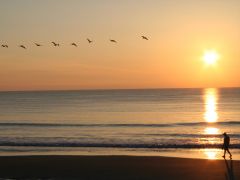 .  . 
   . 
  1024 X 768