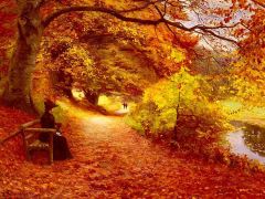 Осенняя прогулка. 
 Осень. 
 Размер 1024 X 768
