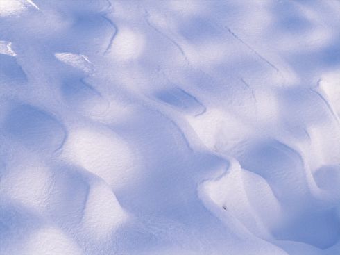 Синий снег. 
 природа. 
 Параметры оригинала картинки 1024 X 768 
 115103 byte