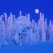 Луна и снежное покрывало.
Природа на мобильный.
Размер 500 X 500 Луна и снежное покрывало.
Природа на мобильный.
Размер 500 X 500