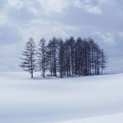 Снежная гладь.
Природа на мобильный.
Размер 500 X 500 Снежная гладь.
Природа на мобильный.
Размер 500 X 500