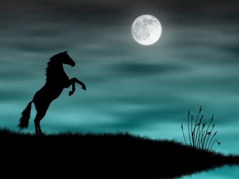 Лошадь и луна. 
 лошади. 
 Параметры оригинала картинки 1024 X 768 
 93237 byte