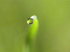 ������� �� �����. 
 ����, ����� � ��������. 
 ������ 1024 X 768