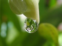   . 
 ,   . 
  1024 X 768