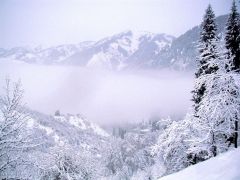 Снежная долина. 
 Зима. 
 Размер 1024 X 768