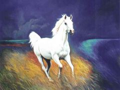 Белая лошадь. 
 лошади. 
 Размер 1280 X 960