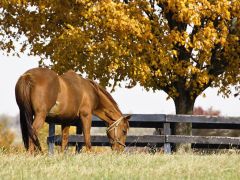 ����� � ������. 
 ������. 
 ������ 1024 X 768